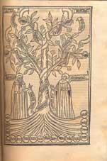 Ramon Llull. Arbre de ciència, en llatí. 1505.