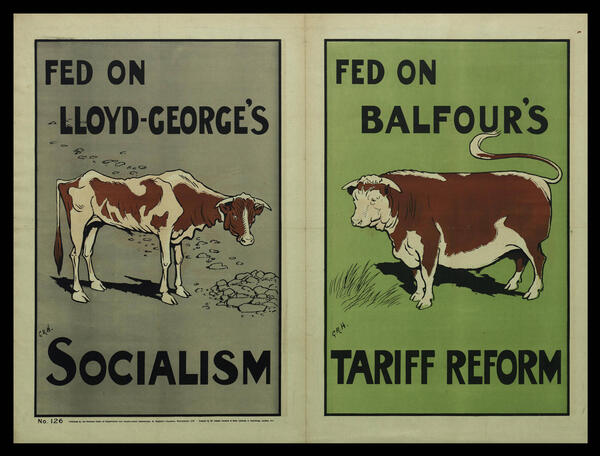 La vaca magra amb el nom de Lloyd-George i la paraula "Socialism" a sota, i la vaca grassa amb el nom de Balfour i "tariff reform" a sota.