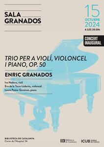 cartell del concert